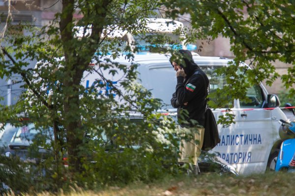 Снимка: Димитър Кьосемарлиев, Dnes.bg
